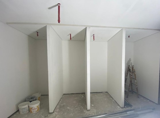 Imagem Zinzane antes 1.jpg